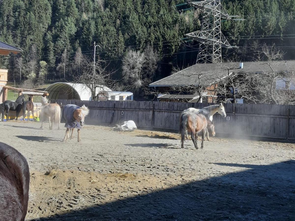 B&B Margit'S Ranch Urlaub Am Pferdehof Silz Esterno foto