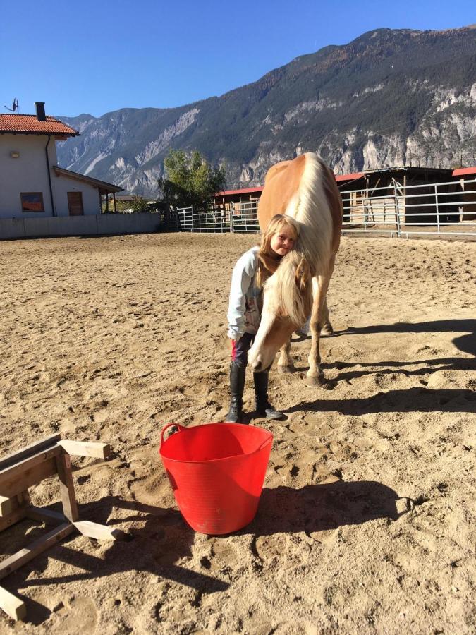 B&B Margit'S Ranch Urlaub Am Pferdehof Silz Esterno foto