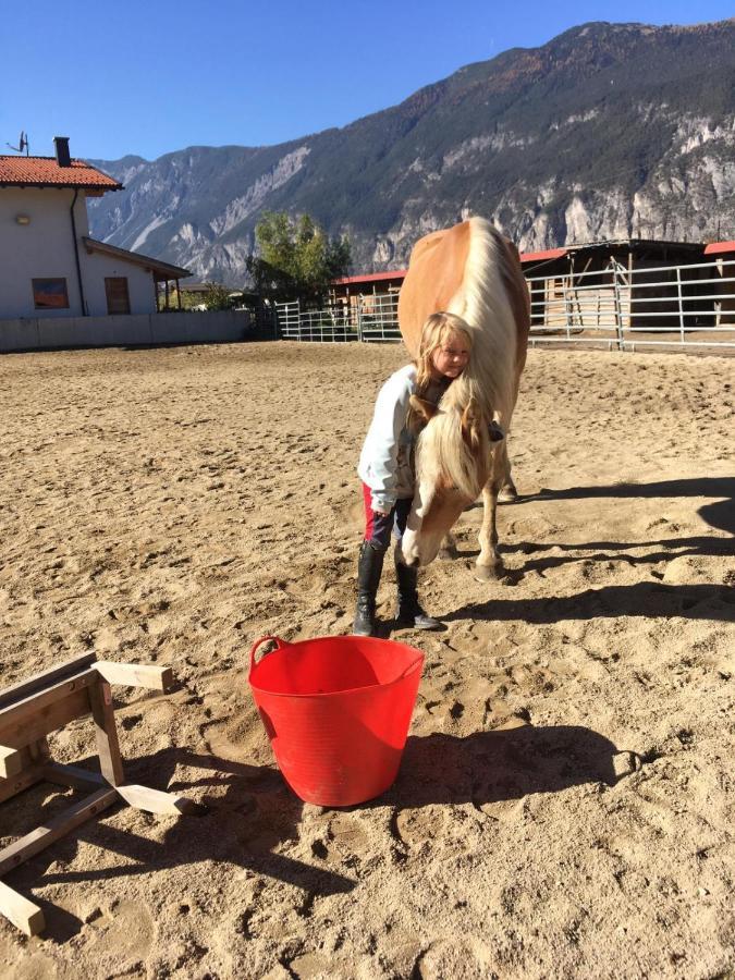 B&B Margit'S Ranch Urlaub Am Pferdehof Silz Esterno foto